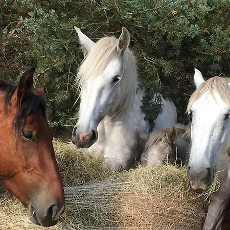 La Maison Toute De Travers Semesterbostad